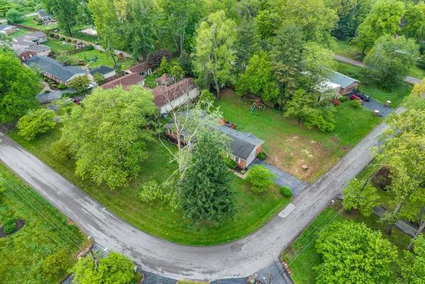 a view of a garden in a backyard