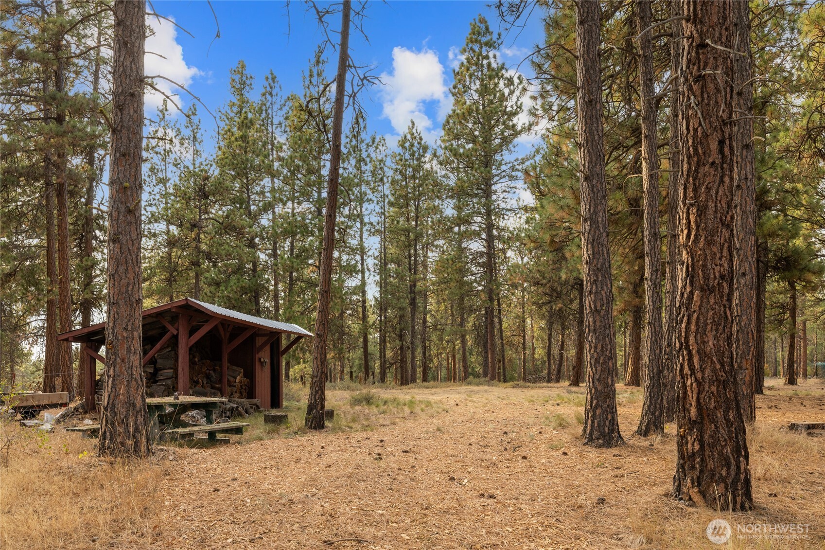 300 Teanaway Ridge Way Cle Elum, WA 98922 - Photo 31 of 38 a view of a covered with trees in the background
