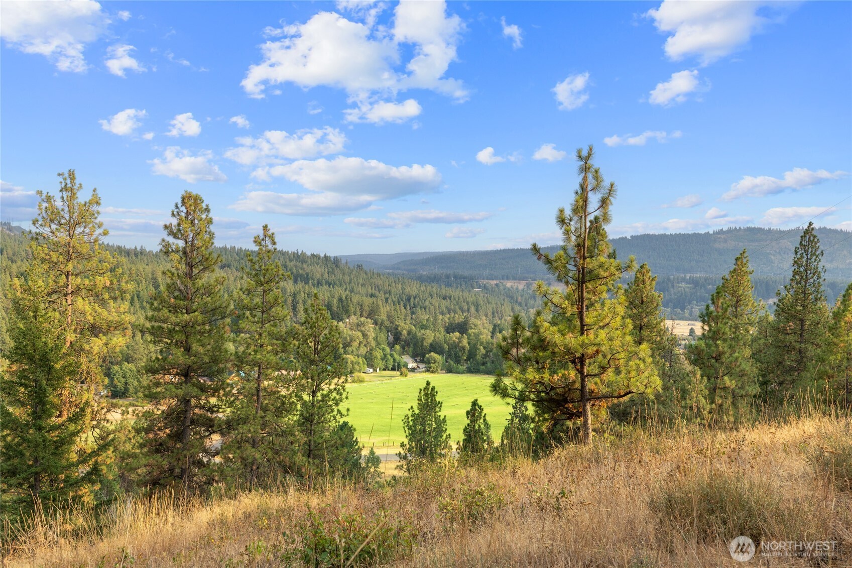 300 Teanaway Ridge Way Cle Elum, WA 98922 - Photo 4 of 38 a view of a lake with a garden