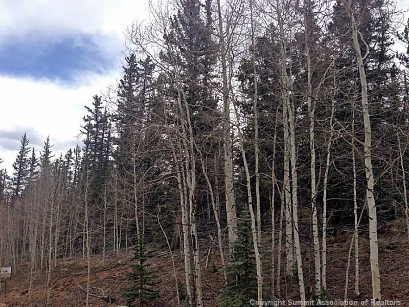 237 Smith And Wesson Road Como, CO 80432 - Photo 5 of 5 Land/Lot.