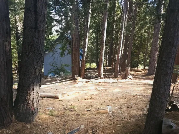 $220,000 | 41100 Putt Road, Alta, CA 95715