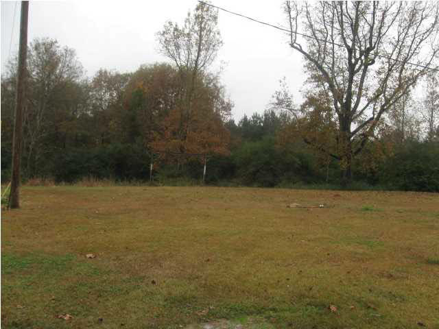 512 Scr 134 Raleigh, MS 39153 - Photo 3 of 7 Photo 3