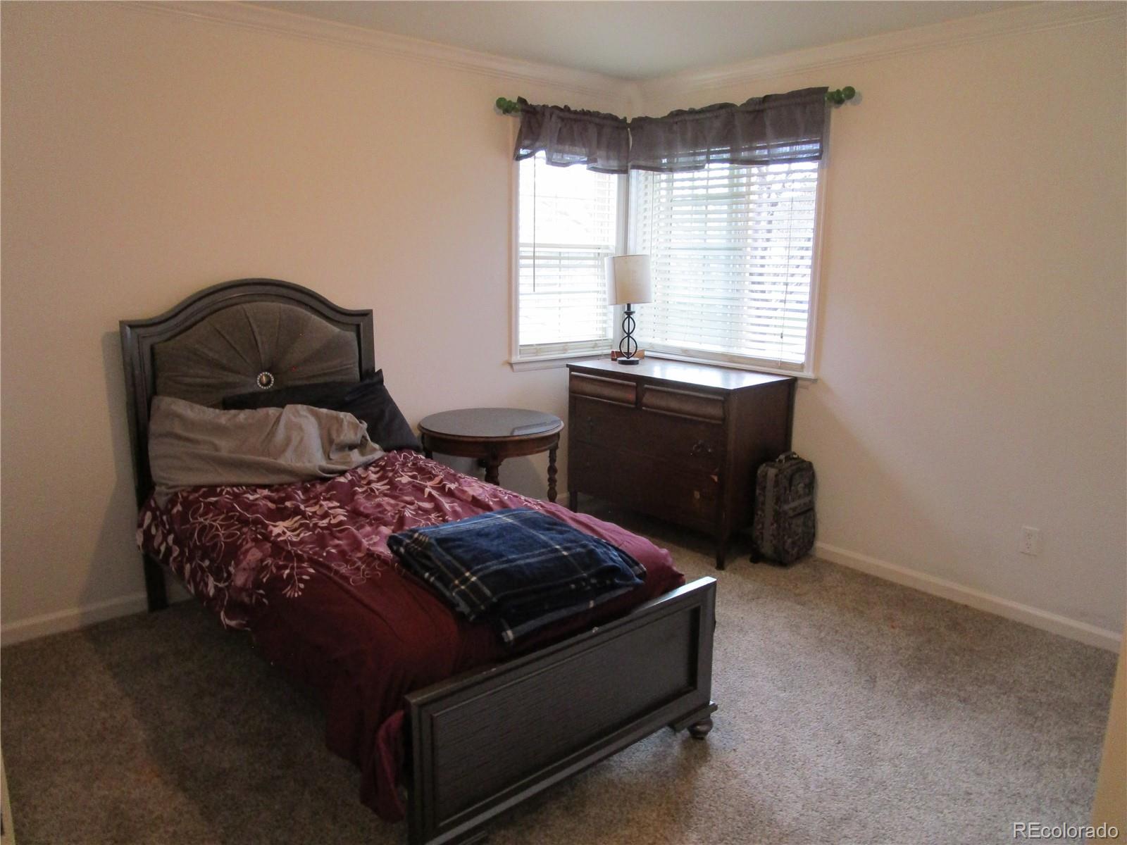 10522 Stoneflower Drive Parker, CO 80134 - Photo 21 of 37 Gallery Image 21