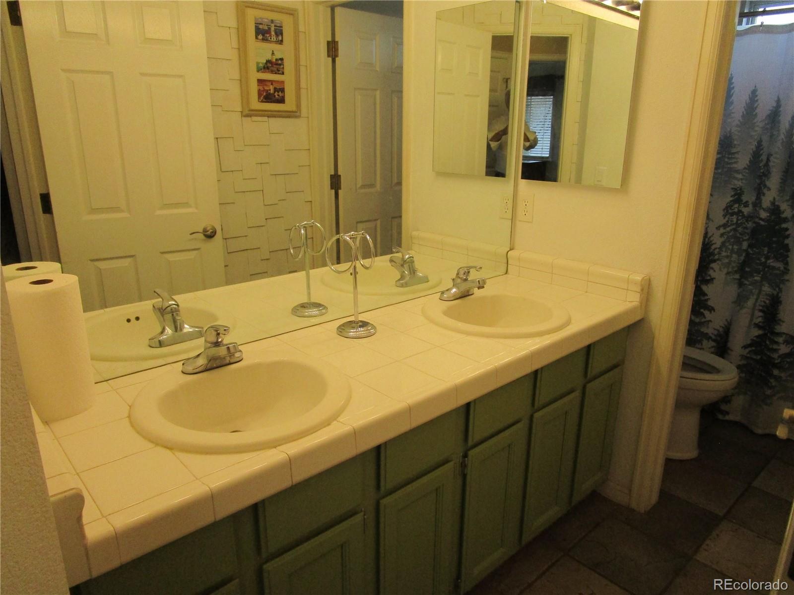 10522 Stoneflower Drive Parker, CO 80134 - Photo 23 of 37 Gallery Image 23