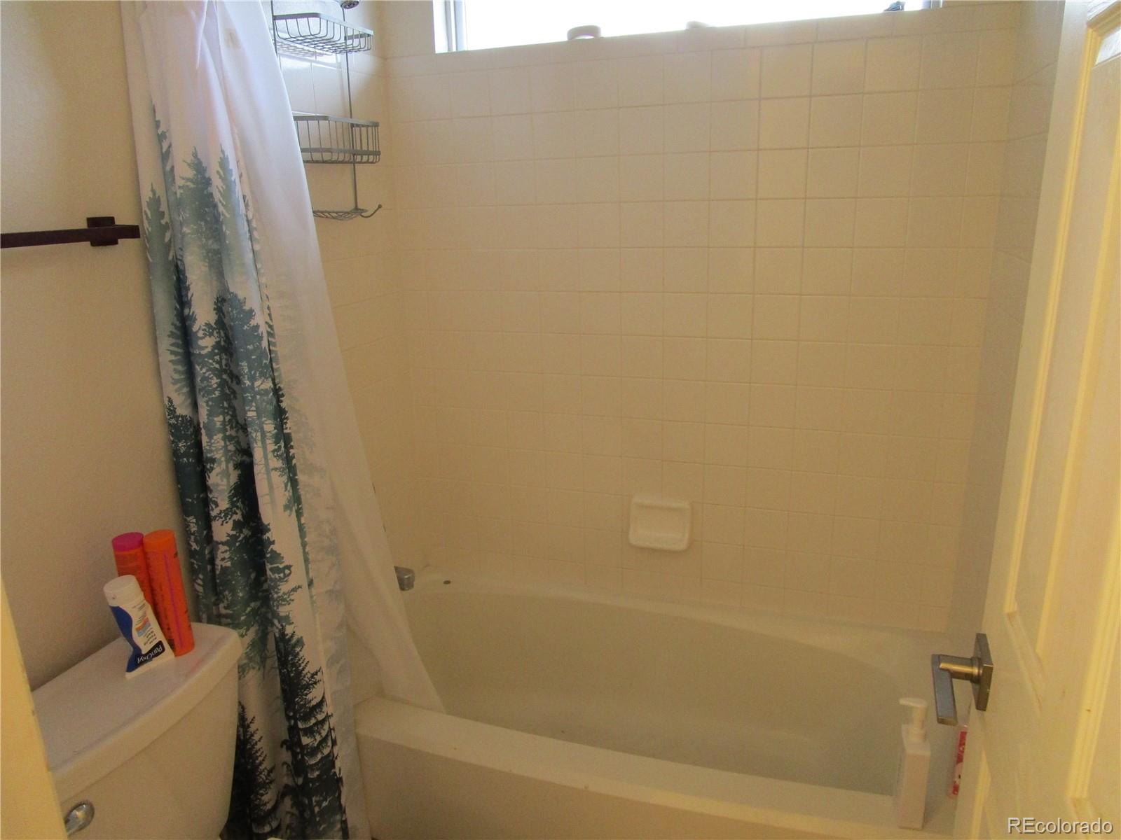 10522 Stoneflower Drive Parker, CO 80134 - Photo 24 of 37 Gallery Image 24