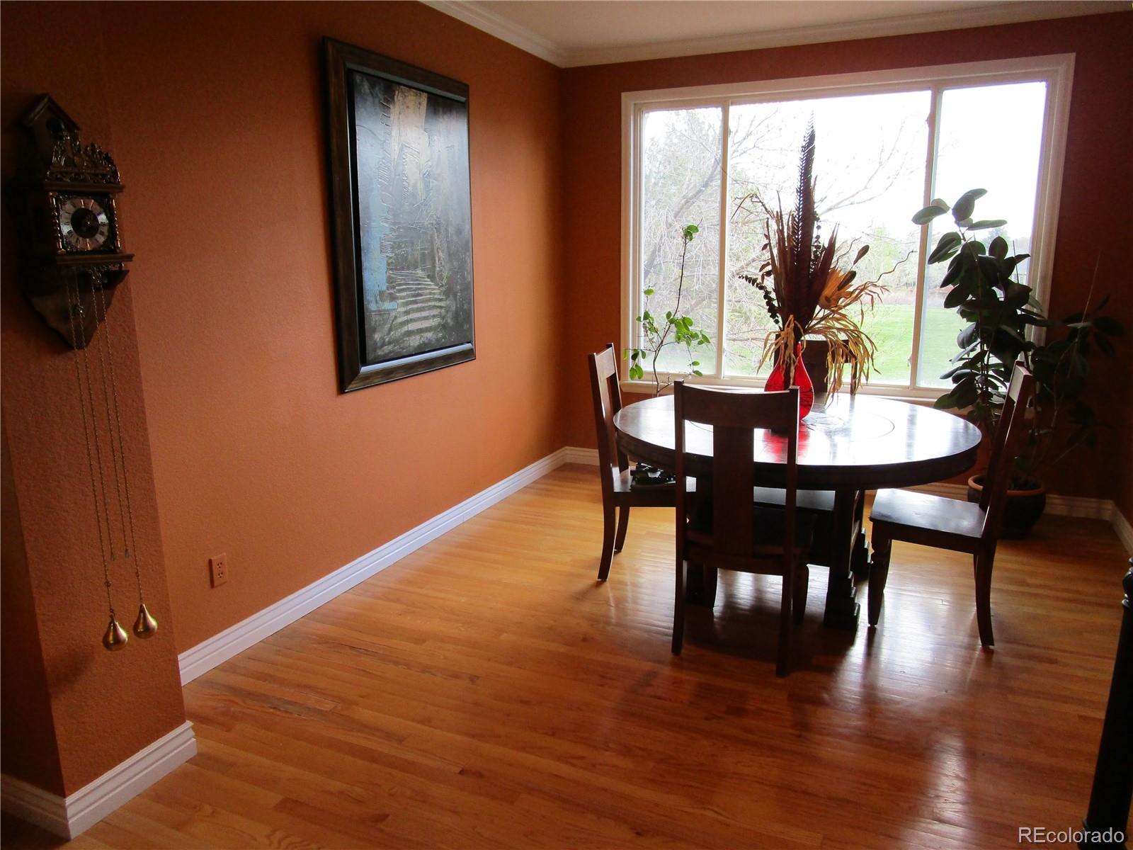10522 Stoneflower Drive Parker, CO 80134 - Photo 8 of 37 Gallery Image 8