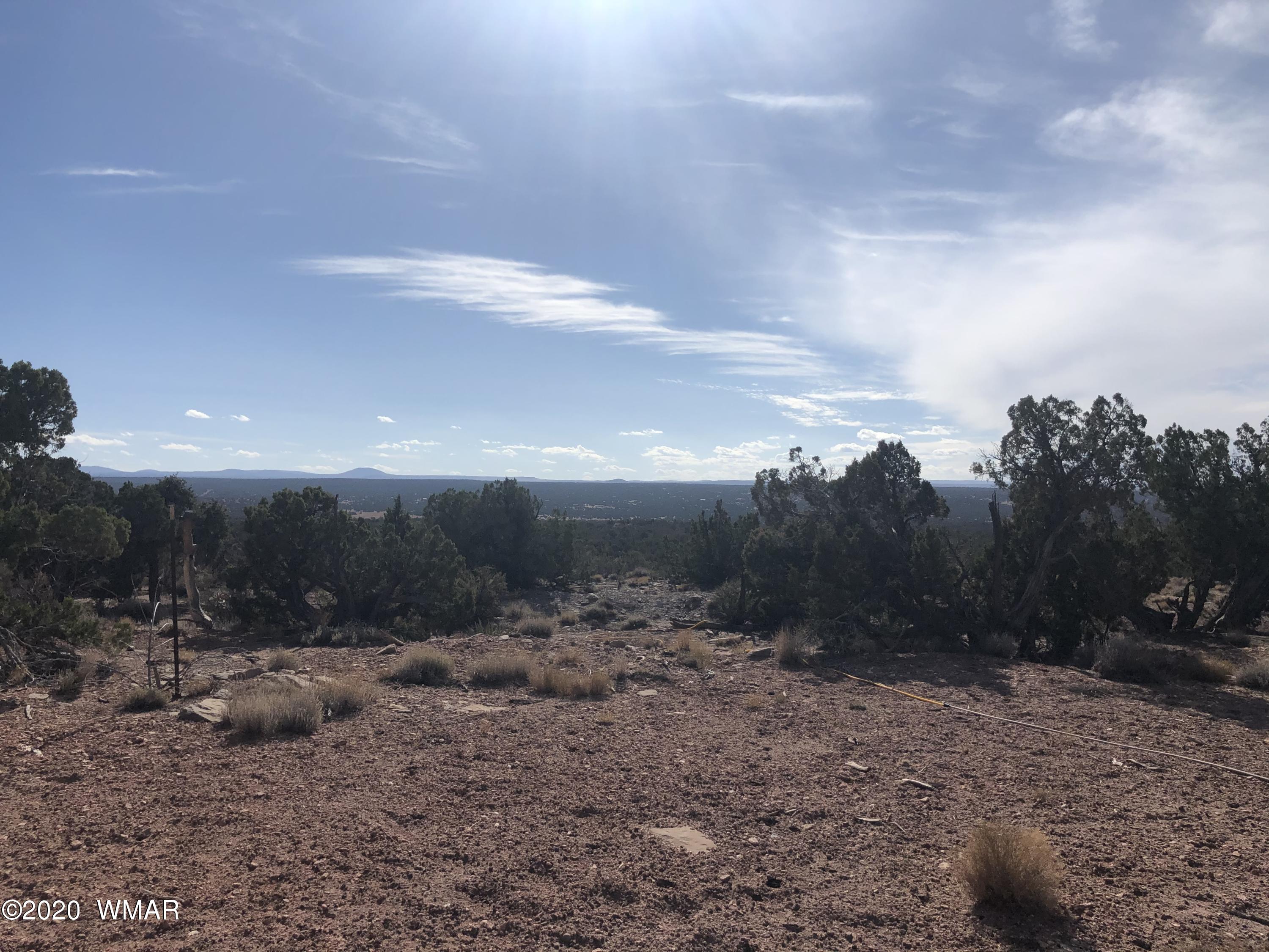 9186 South Ridge View Lane Drive Snowflake, AZ 85937 - Photo 15 of 34