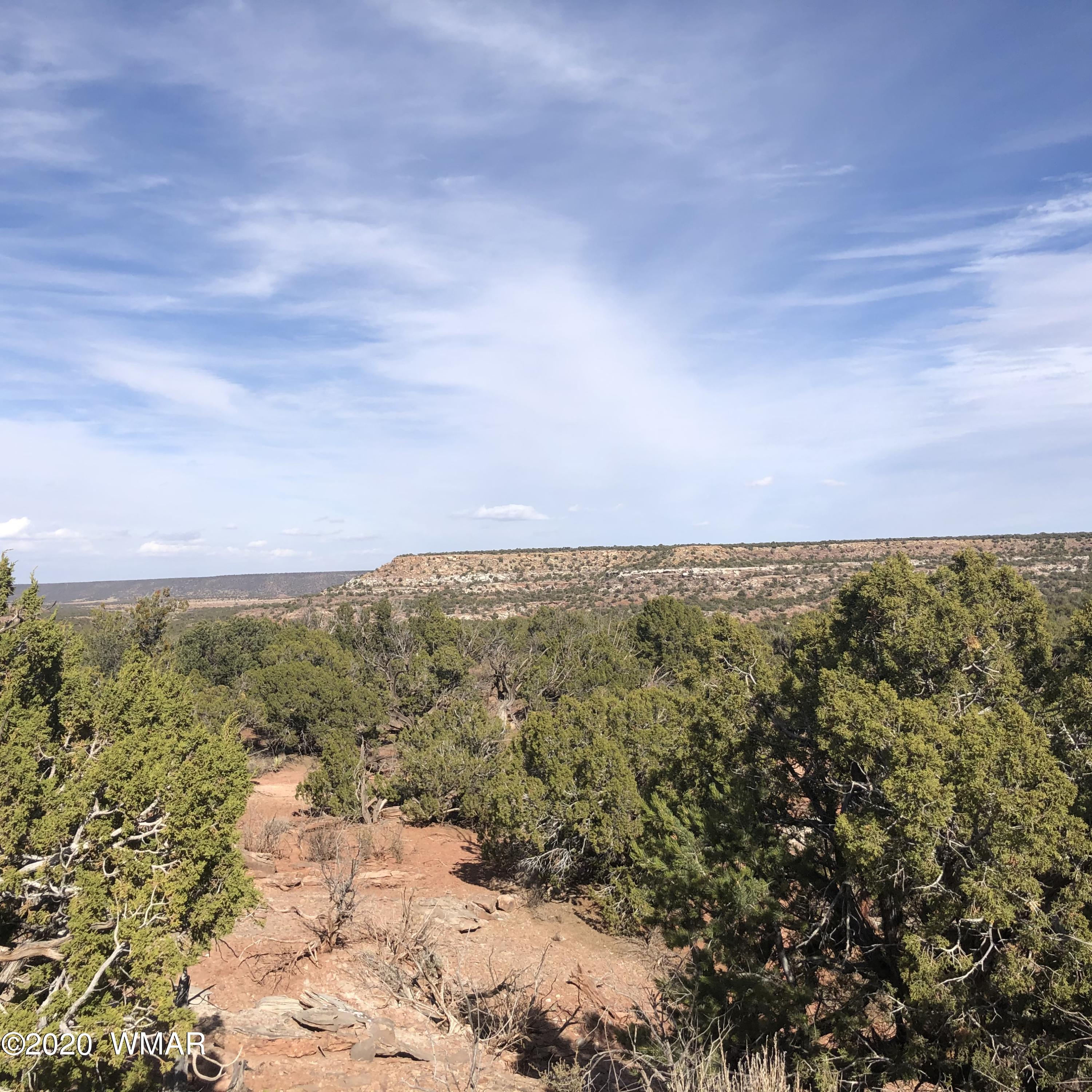 9186 South Ridge View Lane Drive Snowflake, AZ 85937 - Photo 20 of 34