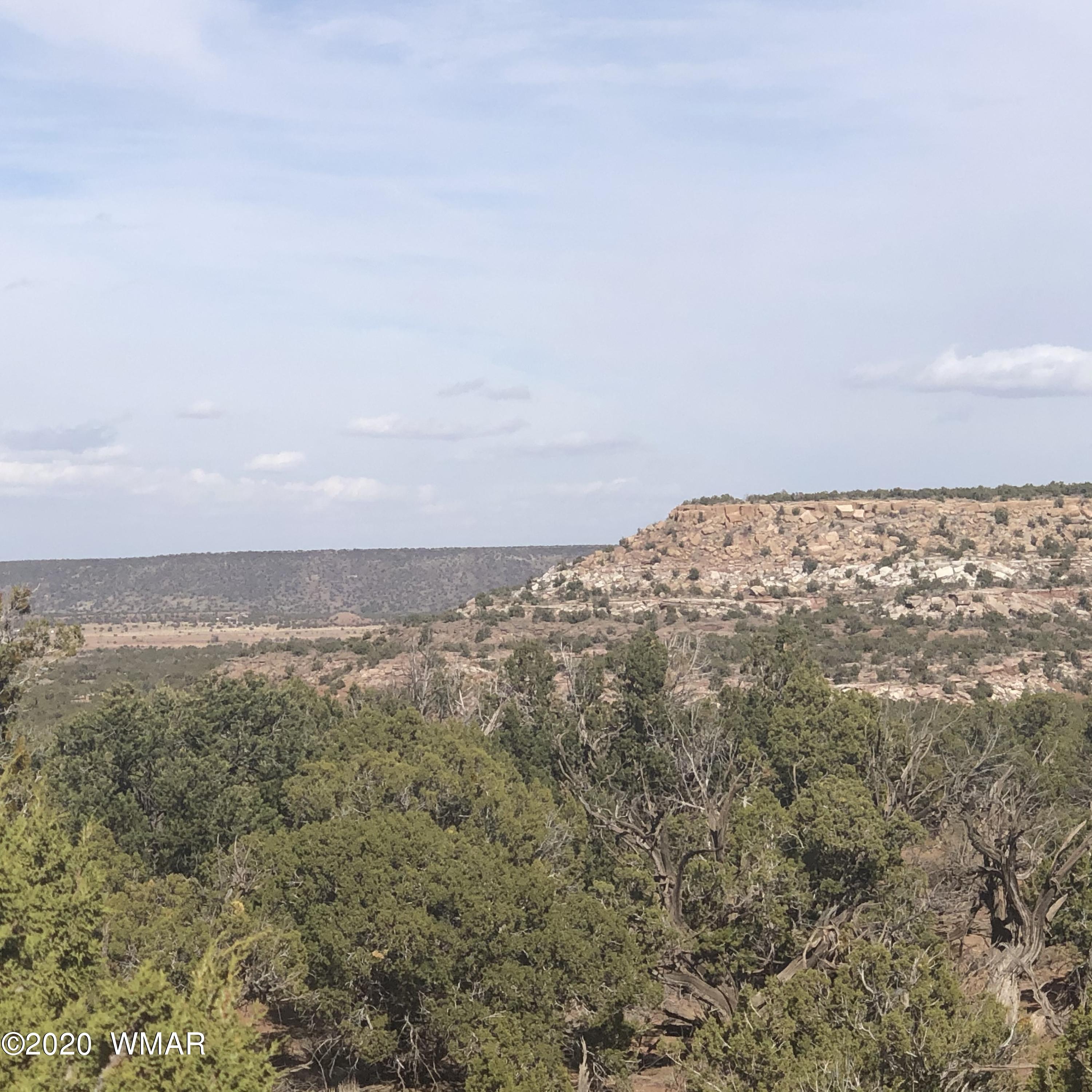 9186 South Ridge View Lane Drive Snowflake, AZ 85937 - Photo 22 of 34