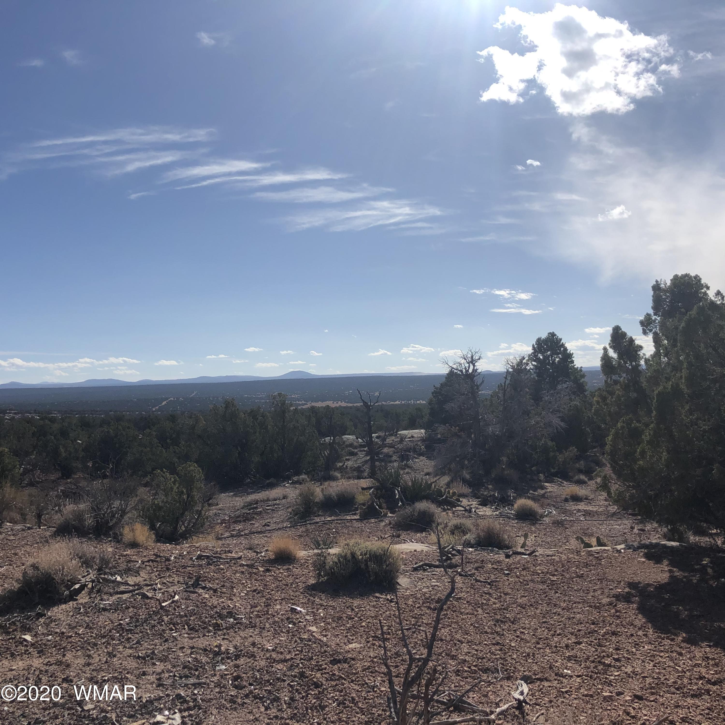 9186 South Ridge View Lane Drive Snowflake, AZ 85937 - Photo 25 of 34