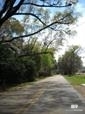 12383 Pecan Grove Street Foley, AL 36535 - Photo 4 of 5 Beautiful Street