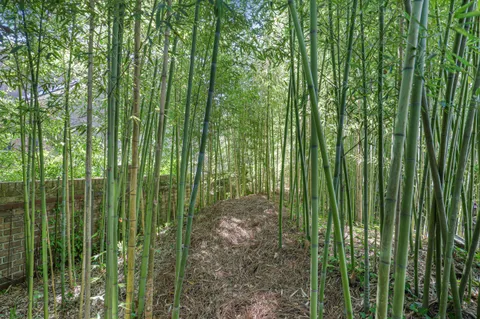 $2,300,000 | 901 Red Coat Run, Mount Pleasant, SC 29464