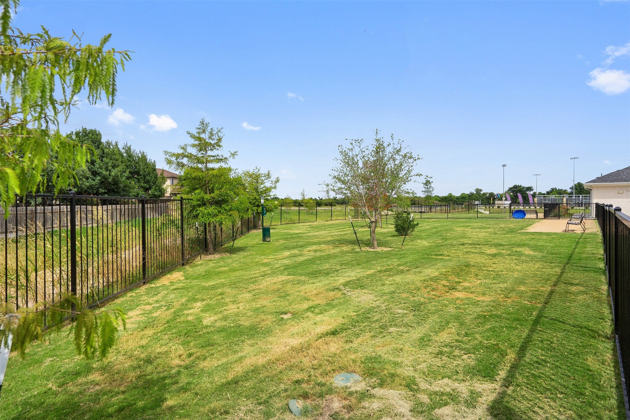 1101 Halsey Drive, Unit 2515 Leander, TX 78641 - Photo 8 of 50 a garden with trees in front of it