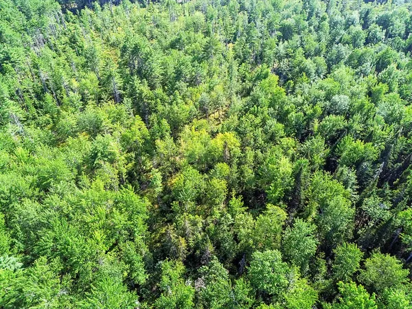 $249,000 | Tbd Bartlett Road, Belgrade, ME 04917