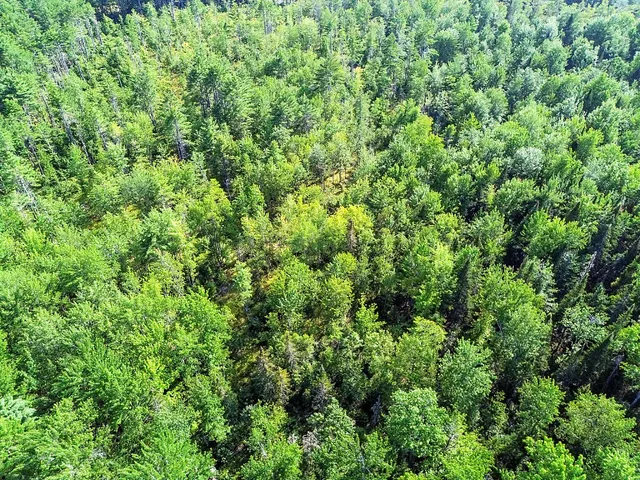 $269,000 | Tbd Bartlett Road, Belgrade, ME 04917