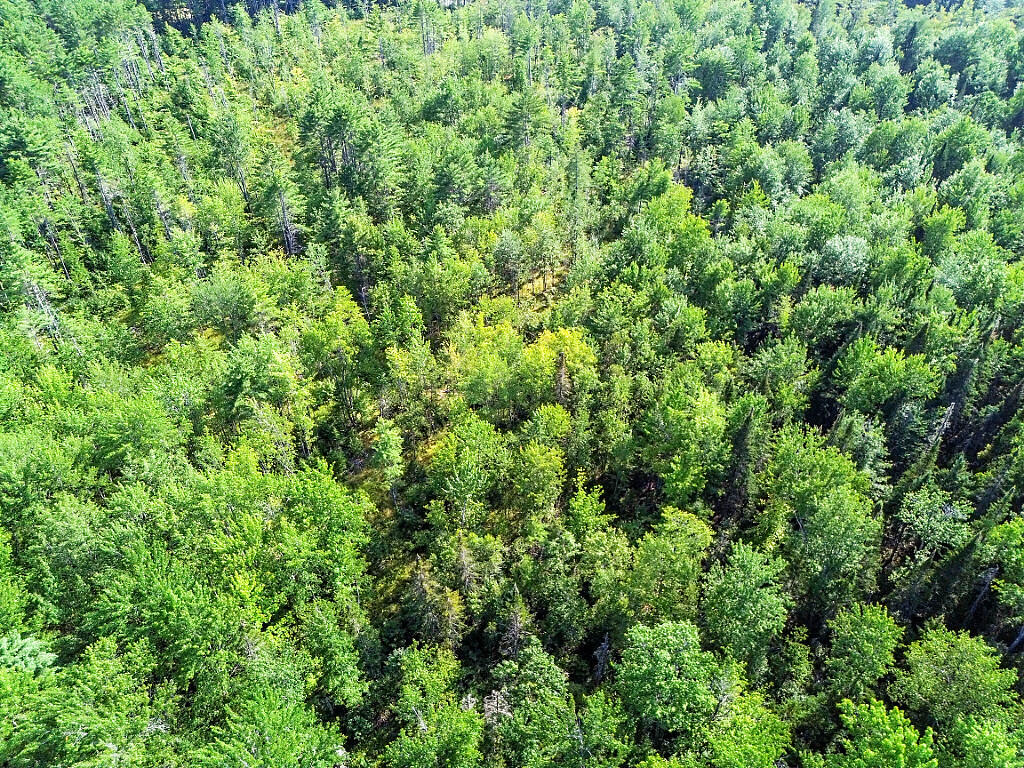 Tbd Bartlett Road Belgrade, ME 04917 - Photo 22 of 30 16_DJI_0296_DxO_mls