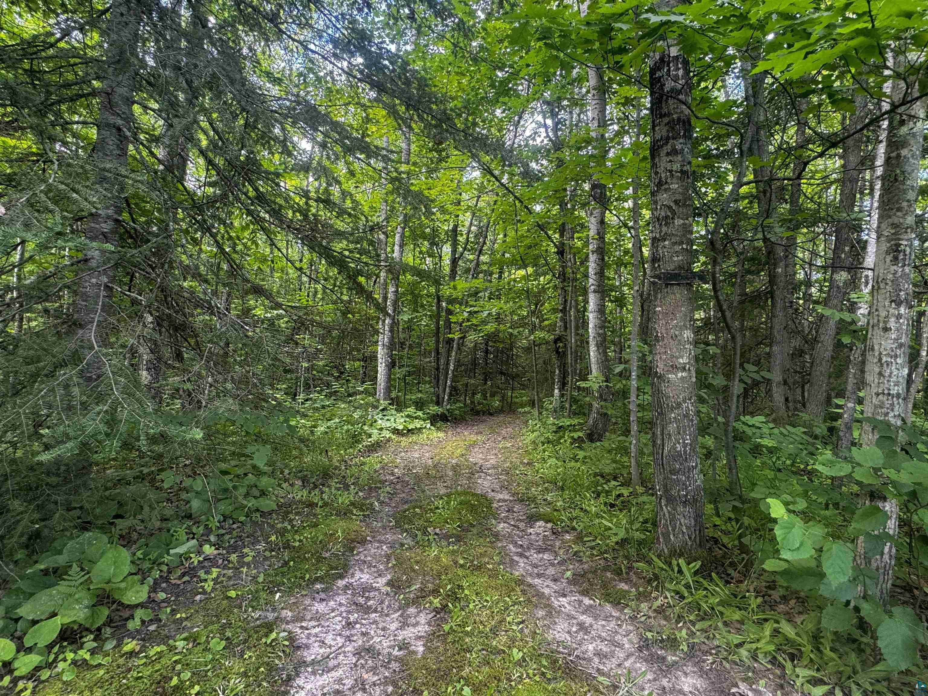 88215 Stage Road Cornucopia, WI 54827 - Photo 14 of 17 Trails