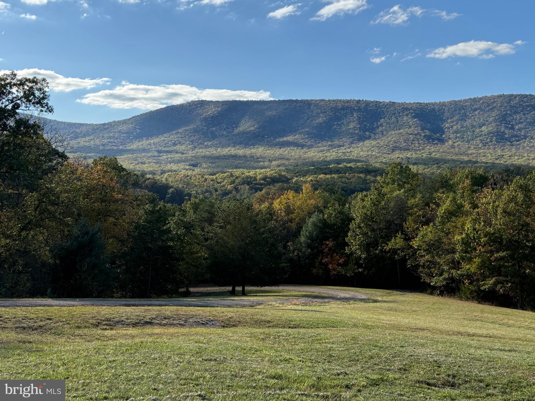 4520 St Davids Church Road Fort Valley, VA 22652 - Photo 2 of 6 a view of a lake