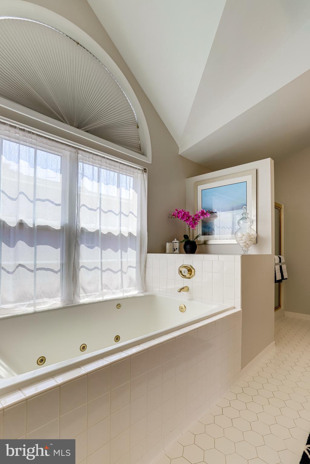 3064 South Glebe Road Arlington, VA 22206 - Photo 52 of 72 Separate Shower and Linen Closet