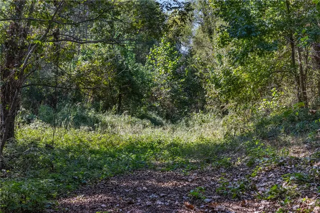 $824,999 | 21 East ( /- 69.227 Acres) Midway Tx 75852, Midway, TX 75852