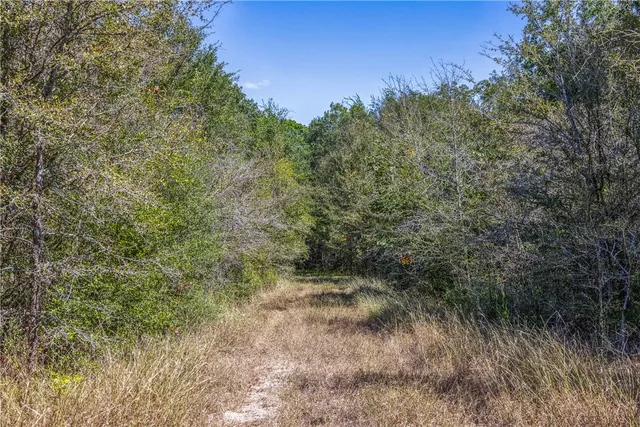 $824,999 | 21 East ( /- 69.227 Acres) Midway Tx 75852, Midway, TX 75852