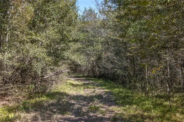 $824,999 | 21 East ( /- 69.227 Acres) Midway Tx 75852, Midway, TX 75852