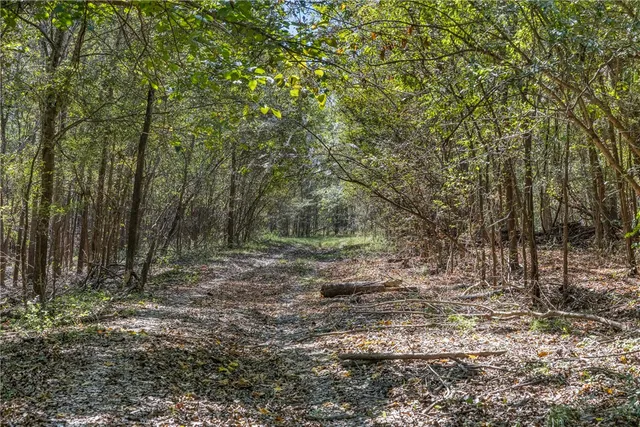 $824,999 | 21 East ( /- 69.227 Acres) Midway Tx 75852, Midway, TX 75852