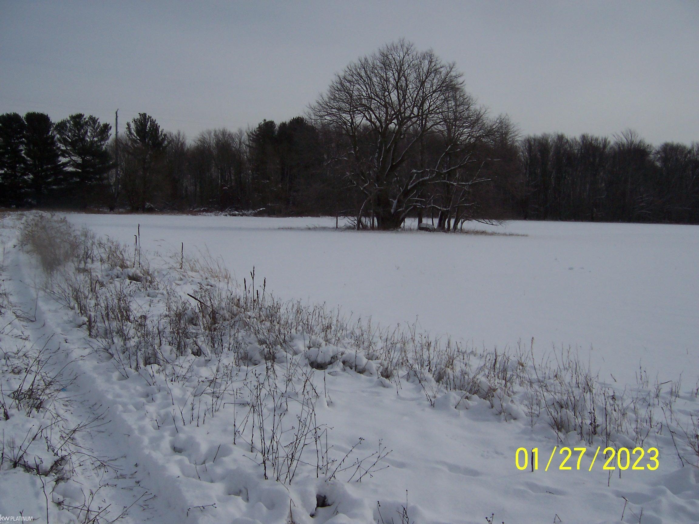 2536 Cove Road Goodells, MI 48027 - Photo 6 of 6