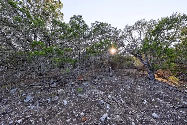 a view of a yard with trees
