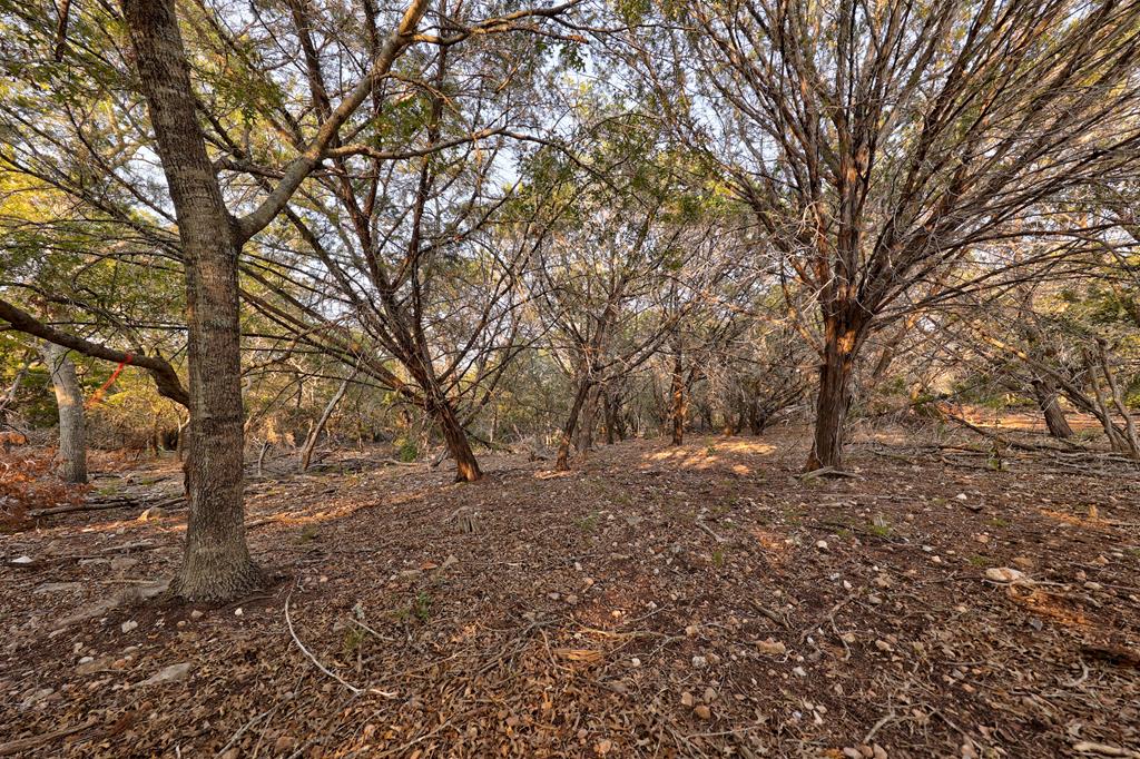 157 Cedar Cliff Loop West Hunt, TX 78024 - Photo 19 of 35 a view of a yard with trees