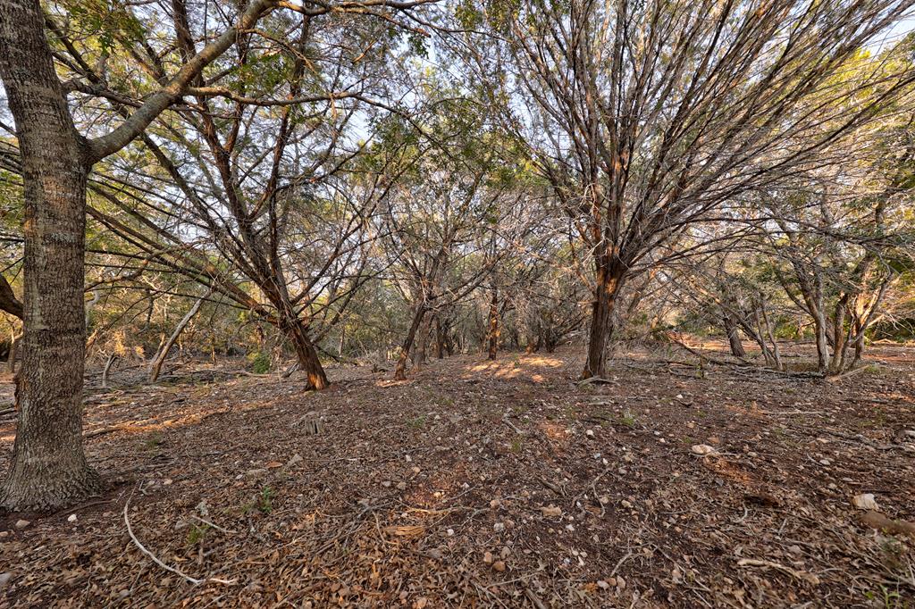 157 Cedar Cliff Loop West Hunt, TX 78024 - Photo 20 of 35 a view of dirt yard with a tree