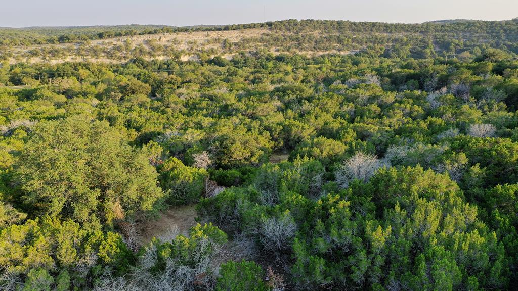 157 Cedar Cliff Loop West Hunt, TX 78024 - Photo 22 of 35 a view of a green field with lots of trees