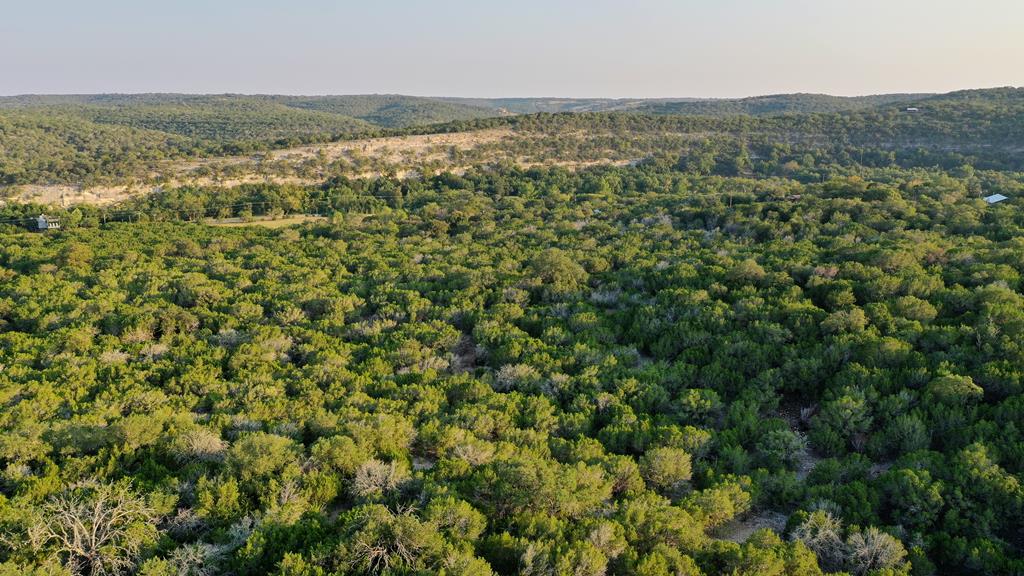 157 Cedar Cliff Loop West Hunt, TX 78024 - Photo 23 of 35 an aerial view of residential houses with outdoor space and trees
