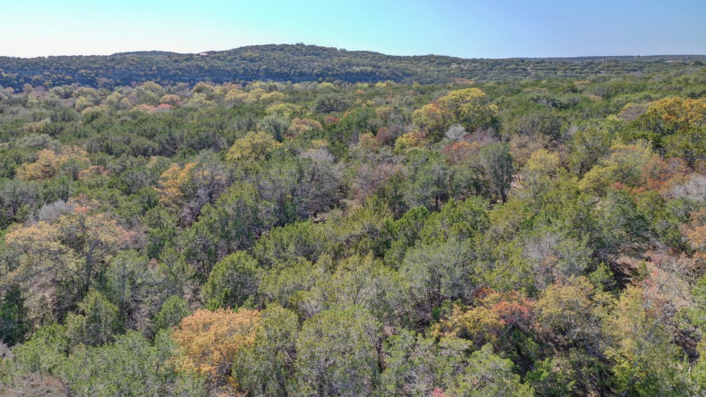 157 Cedar Cliff Loop West Hunt, TX 78024 - Photo 24 of 35 a view of a mountain in the distance in a field