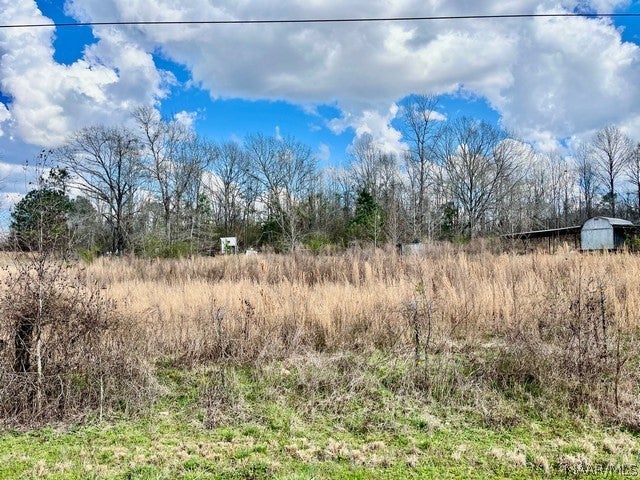 1530 Union Road Eclectic, AL 36024 - Photo 3 of 22 Gallery Image 3