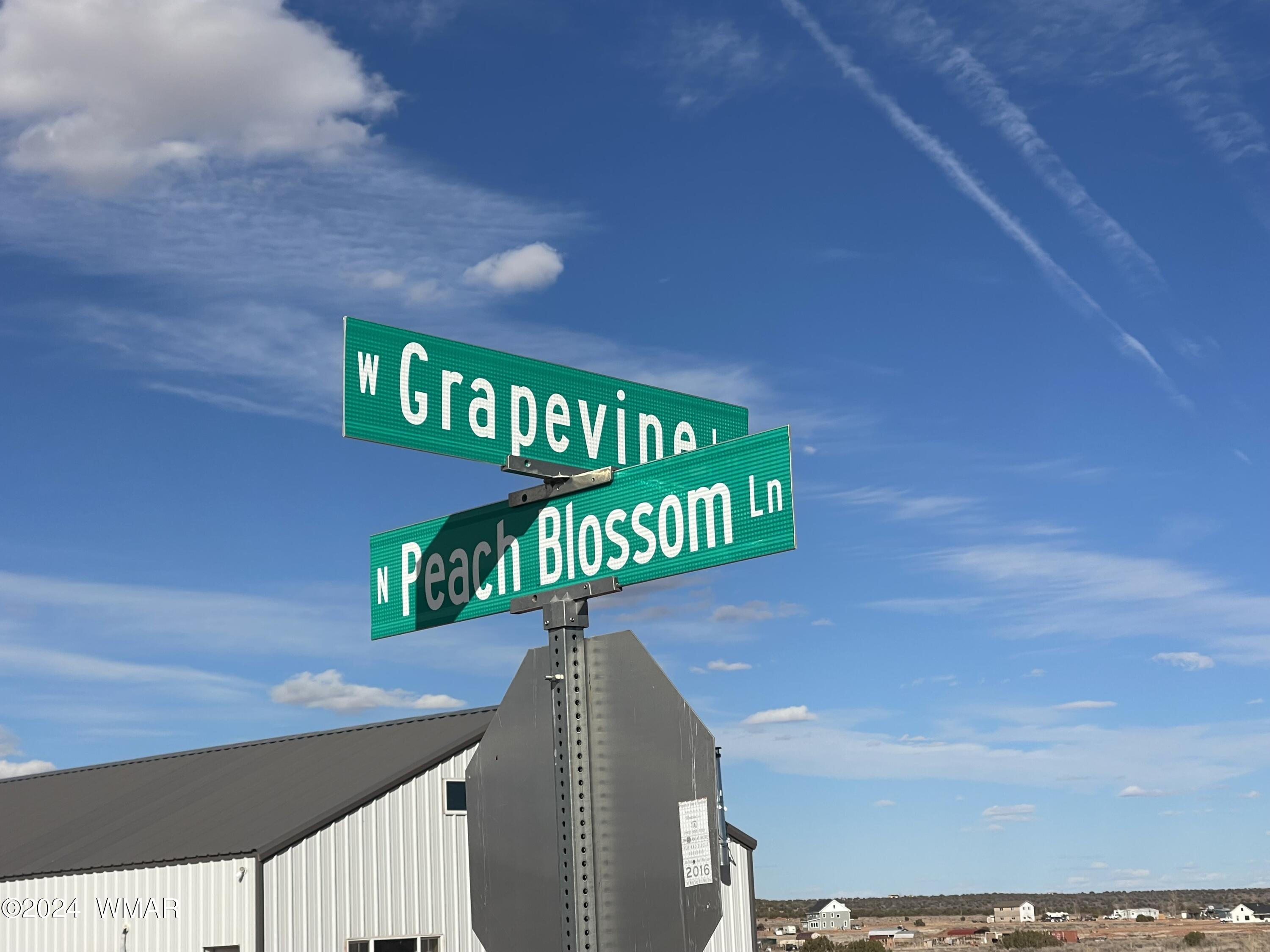 Lot 003 West Grapevine Lane Snowflake, AZ 85937 - Photo 1 of 2 a street sign on a wall next to road
