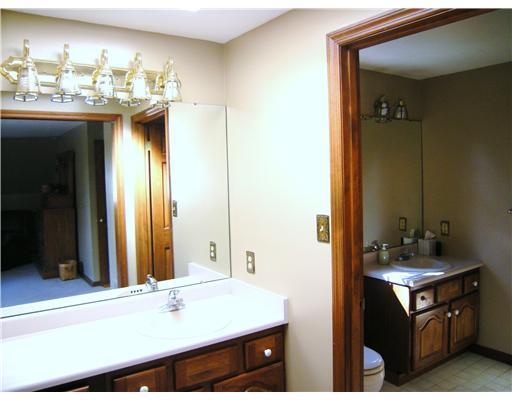 323 Blue Run Road Cheswick, PA 15024 - Photo 11 of 13 Master Bath/Spa. Master suite has vanity in an alcove plus the master bath.