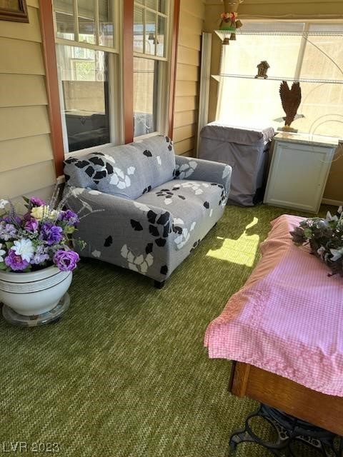 175 Comstock Road Pioche, NV 89043 - Photo 18 of 45 Front Porch/Sunroom Area