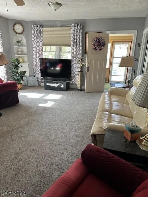 175 Comstock Road Pioche, NV 89043 - Photo 20 of 45 Gallery Image 20