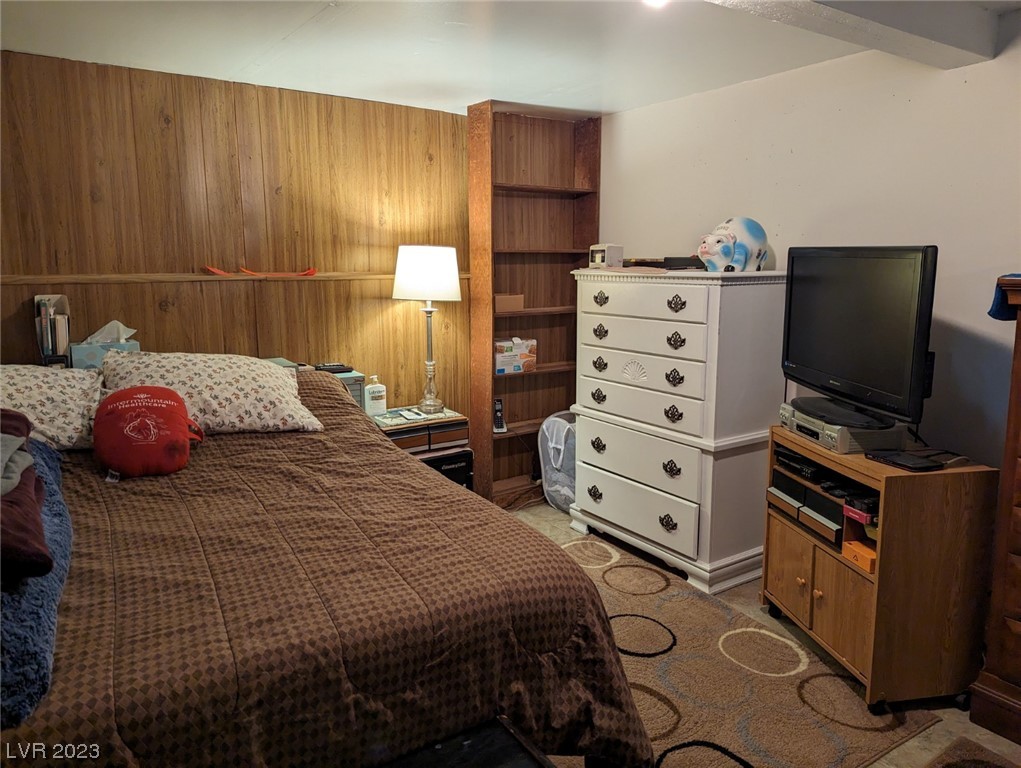 175 Comstock Road Pioche, NV 89043 - Photo 35 of 45 Basement-Bedroom