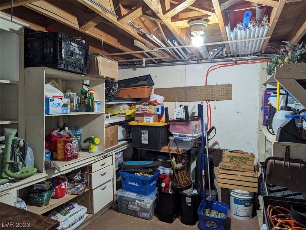 175 Comstock Road Pioche, NV 89043 - Photo 42 of 45 Basement-Storage Area 1