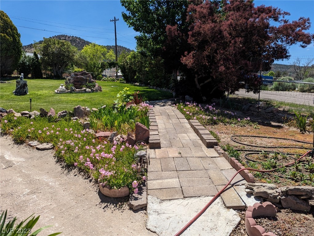 175 Comstock Road Pioche, NV 89043 - Photo 9 of 45 Garden Area