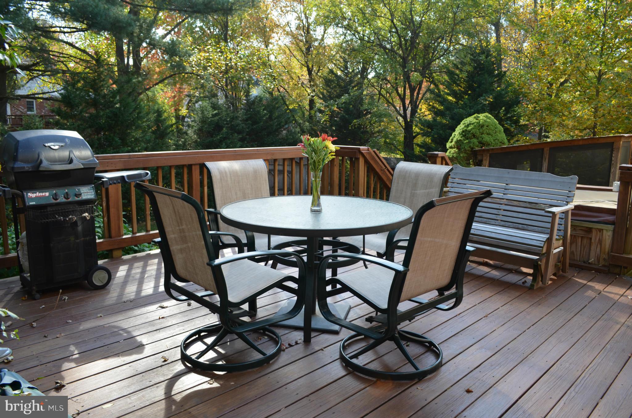1954 Foxhall Road McLean, VA 22101 - Photo 23 of 30 a view of a dinning table and chairs on roof deck