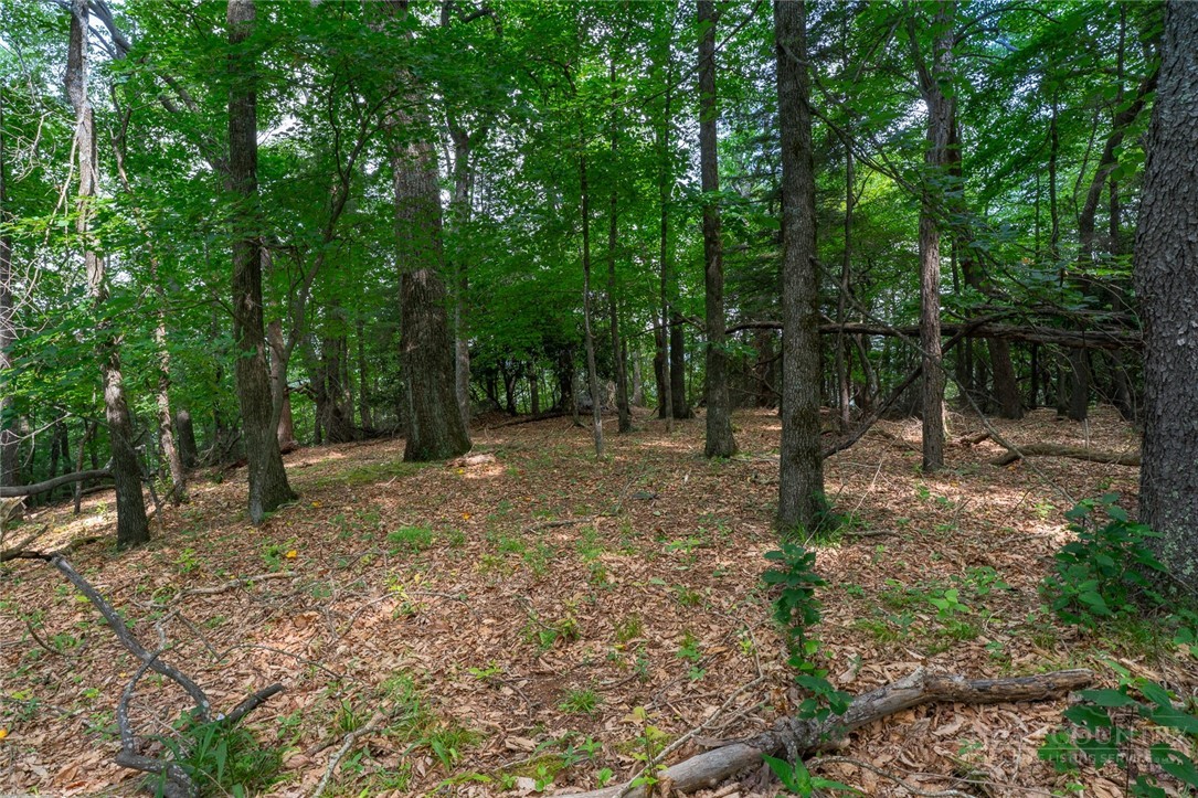 Lot 4 Old Orchard Road Lenoir, NC 28645 - Photo 11 of 23
