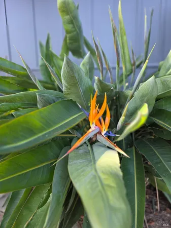 $1,879,000 | 2100 Center Road, Novato, CA 94947