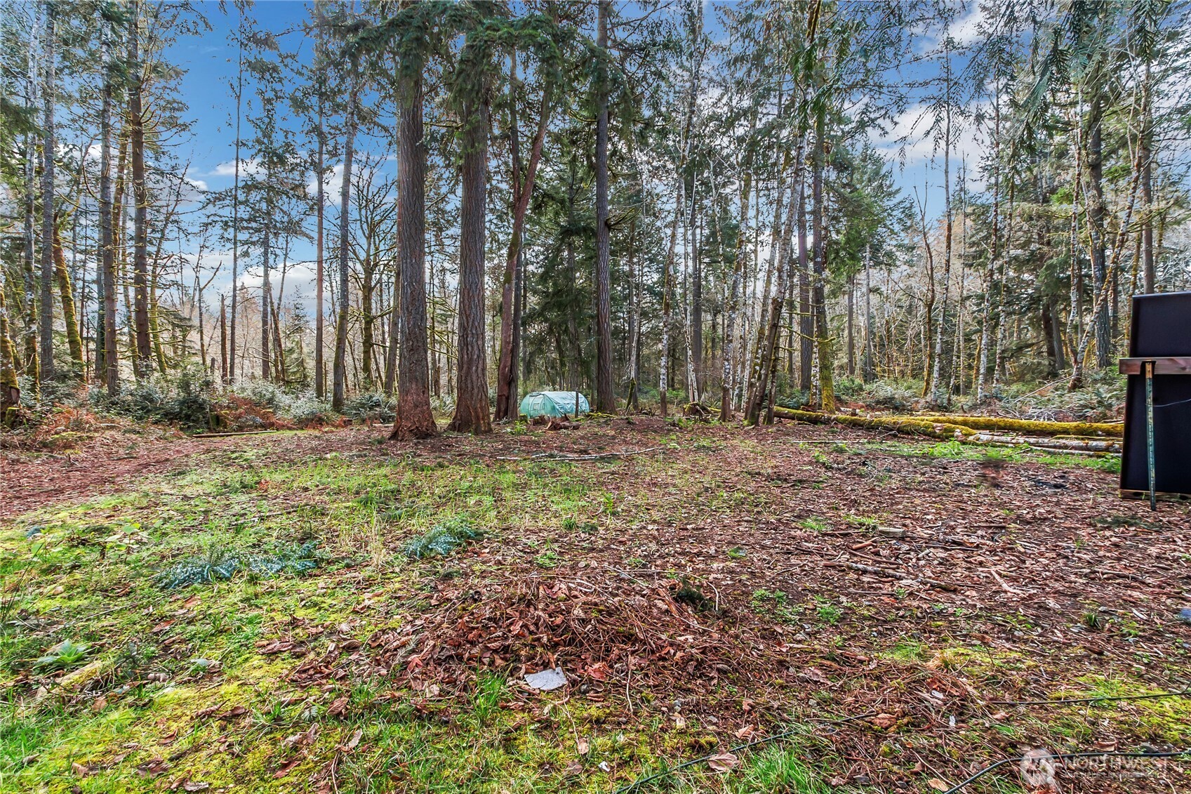 17124 80th Street Southwest Longbranch, WA 98351 - Photo 11 of 37 a backyard of a house with lots of green space