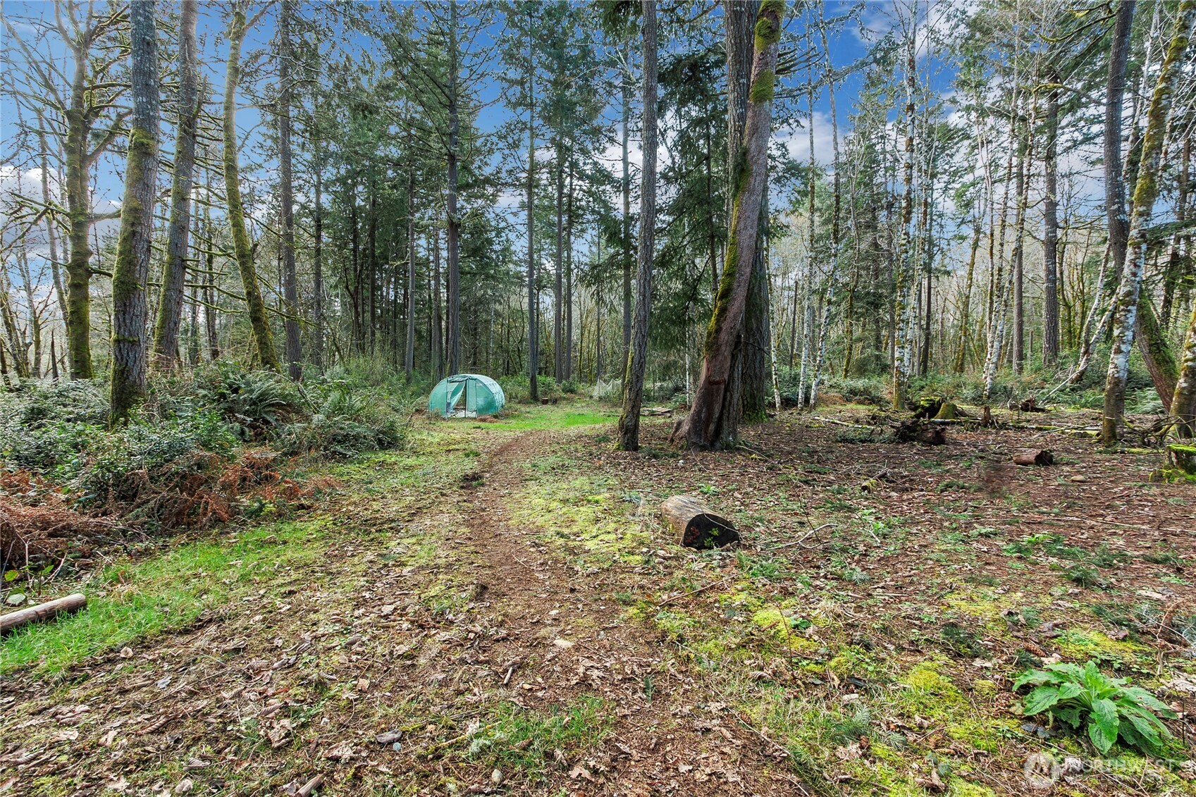 17124 80th Street Southwest Longbranch, WA 98351 - Photo 12 of 37 a backyard of a house with lots of green space