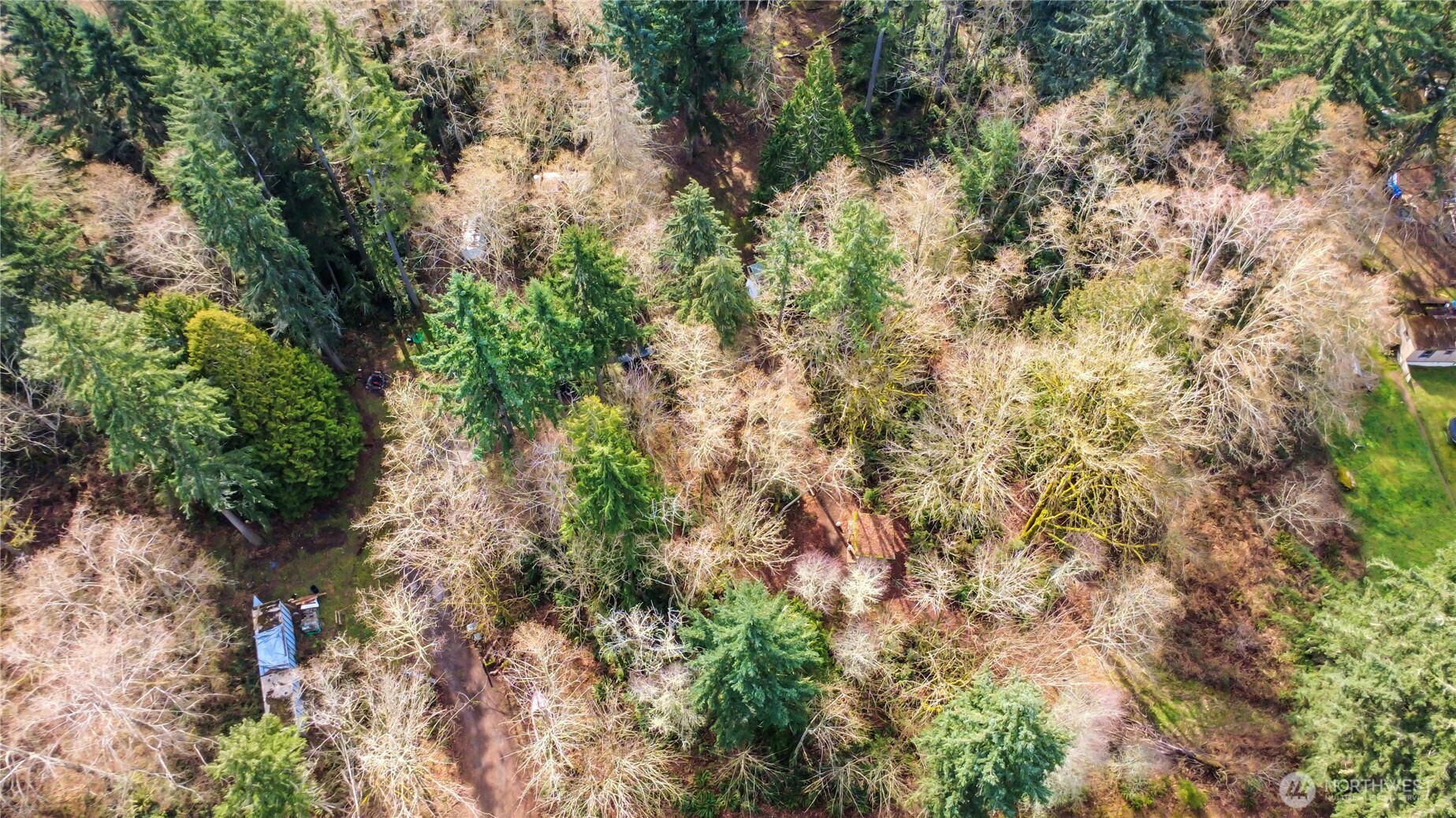 17124 80th Street Southwest Longbranch, WA 98351 - Photo 29 of 37 an aerial view of a houses with yard