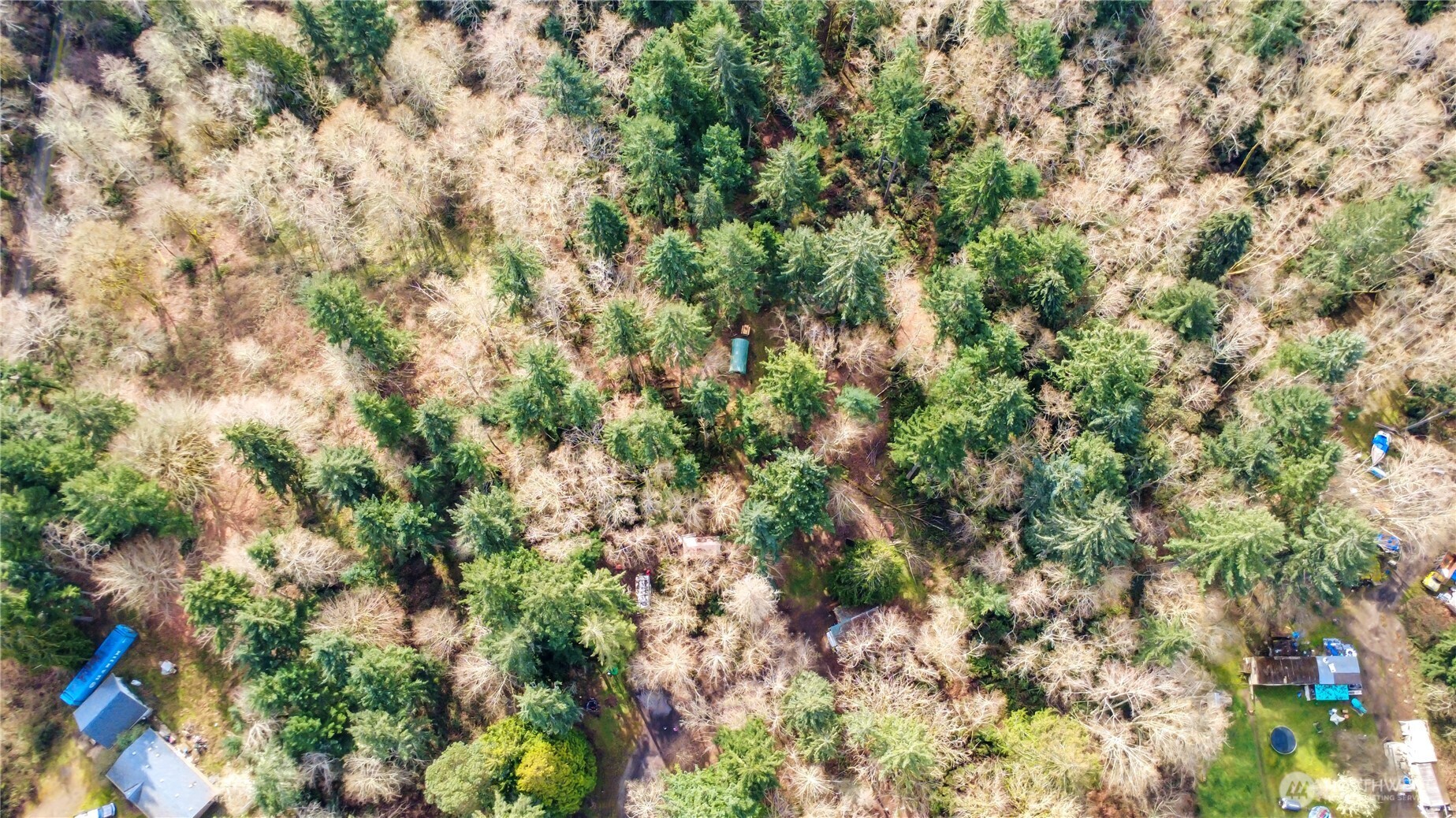 17124 80th Street Southwest Longbranch, WA 98351 - Photo 34 of 37 a view of a tree