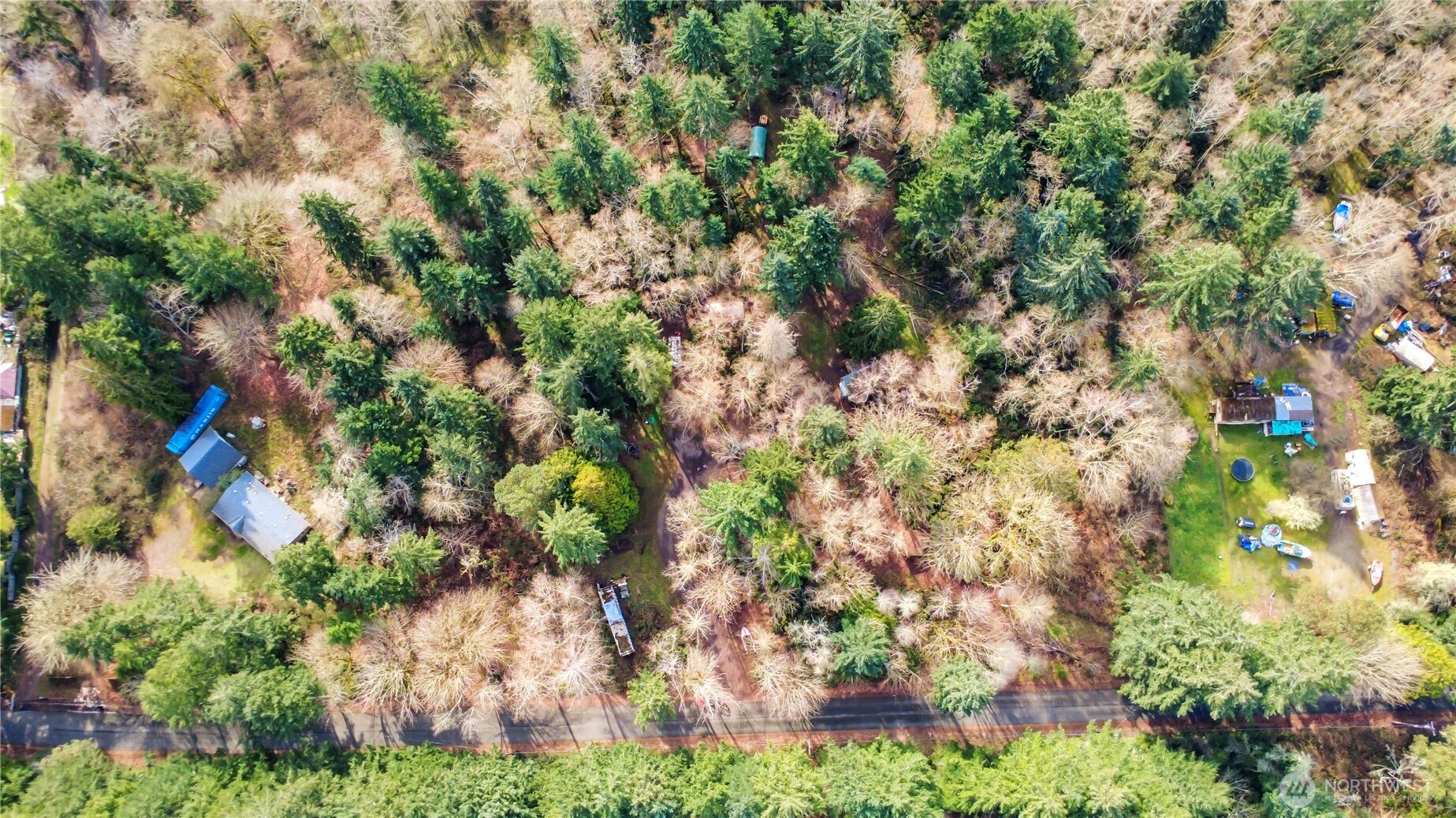 17124 80th Street Southwest Longbranch, WA 98351 - Photo 36 of 37 a picture of trees